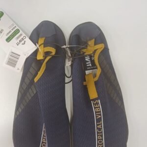 Aqua Shoes