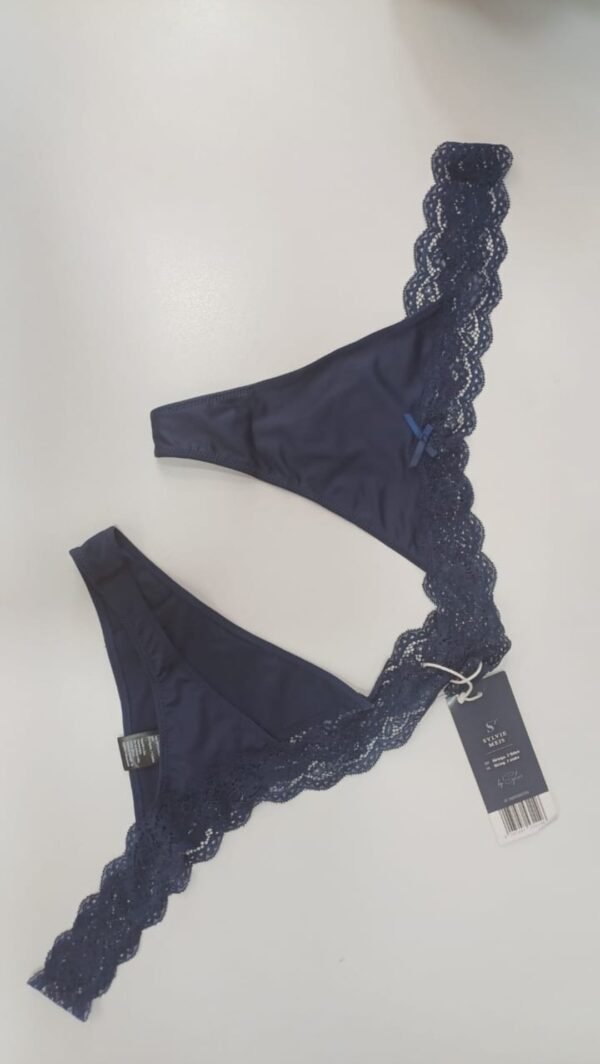 2 in 1 (Sylvie meis)