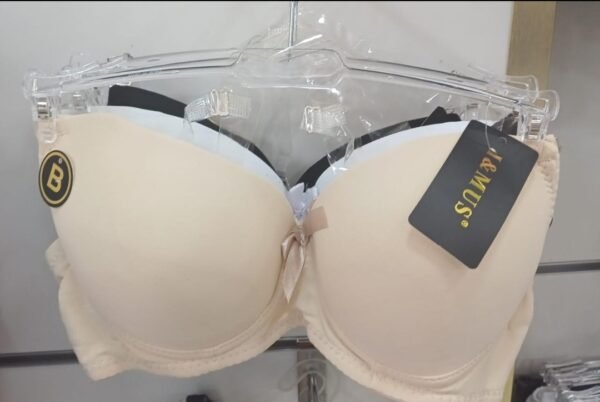 bra - Image 2