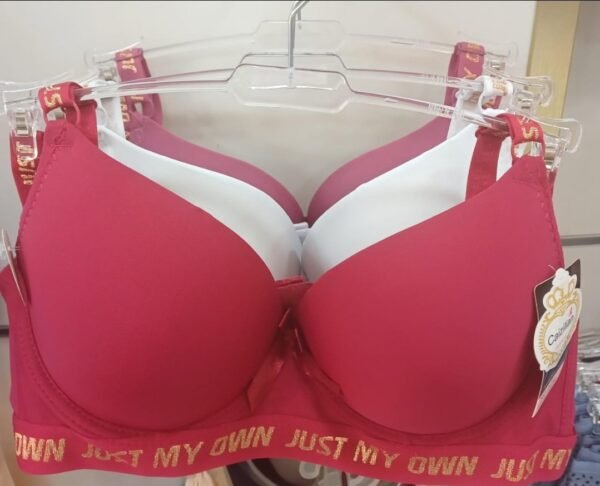 Caizilian (bra) - Image 2