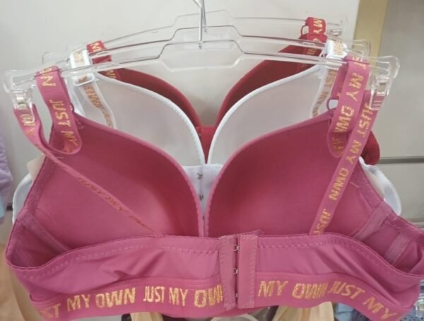 Caizilian (bra)